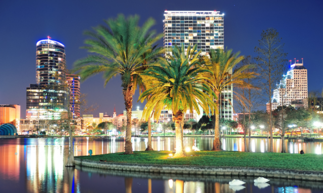 Orlando skyline at night with palm trees and water