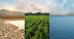 December 4 | Climate Toolkit Webinar: How Museums Are Engaging Audiences on Climate Change drought, green field, and ocean, as a metaphor for climate change