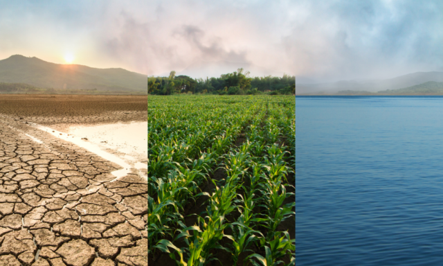 drought, green field, and ocean, as a metaphor for climate change