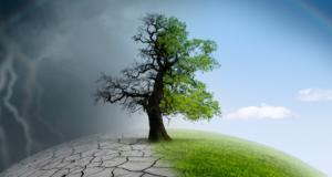 Redefining Climate Messaging at Museums: Insights From New Research Tree on a globe, half healthy/half unhealthy, representing climate change