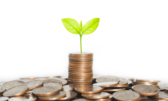 stacked coins with a small plant growing out of it, to represent fundraising