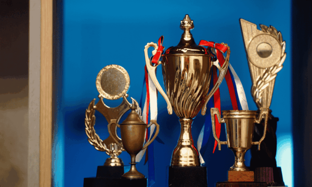 A variety of trophies