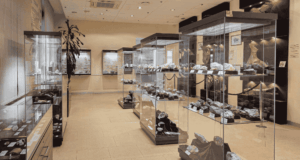 February 17 | The 11th Agent of Deterioration in Collections: Incorrect Cultural Care Museum gallery filled with display cases of various rocks and objects